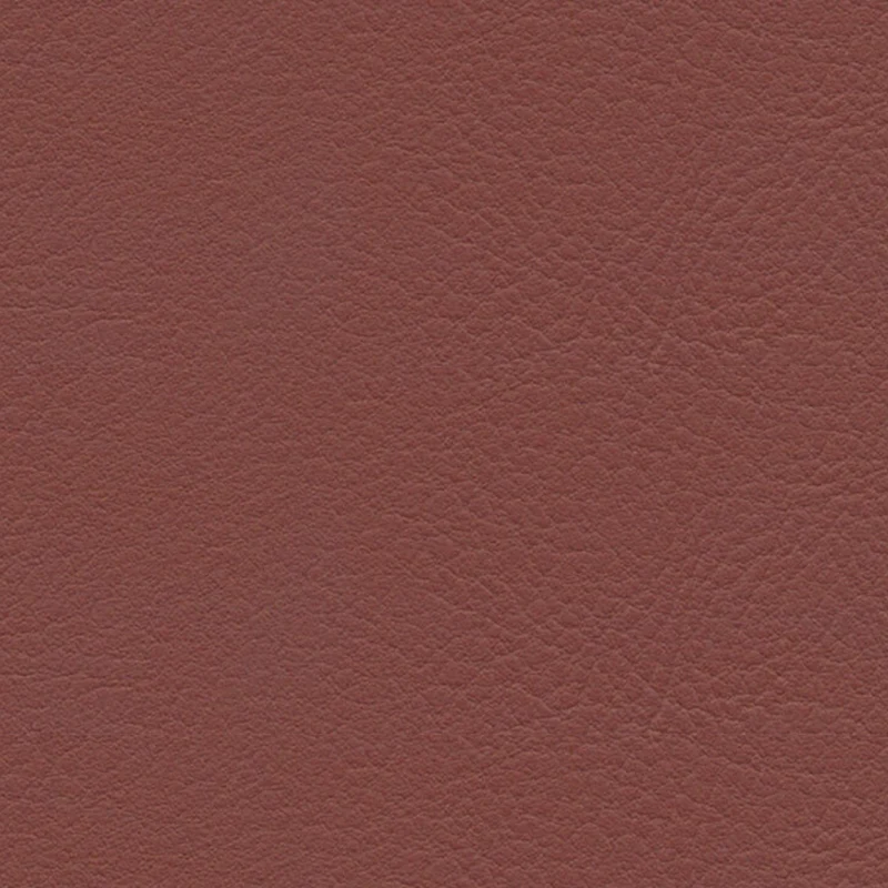 skai® Evida merlot F6800083
