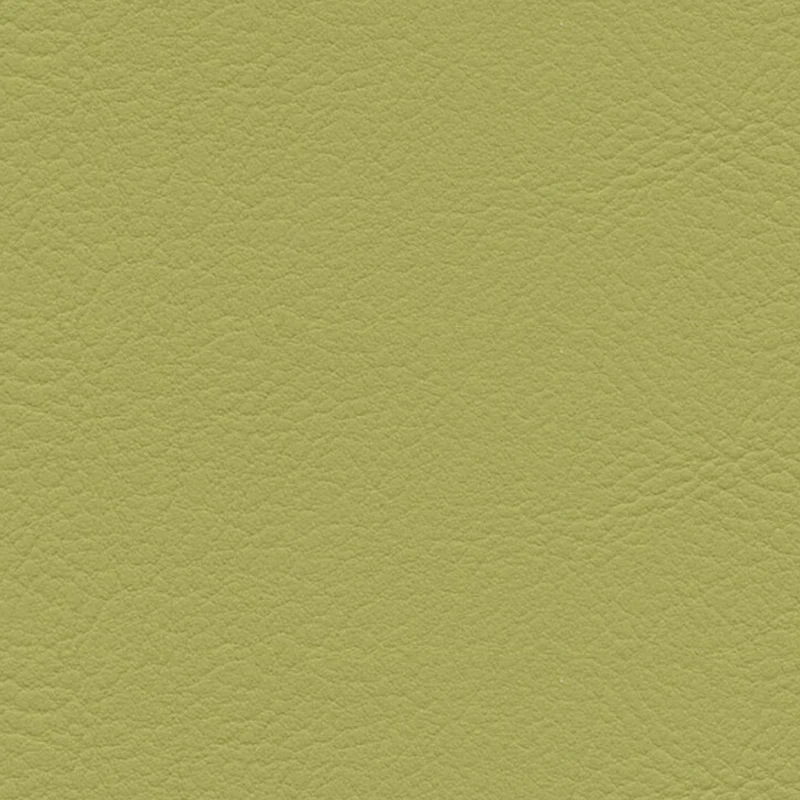skai® Evida olivegreen F6800080